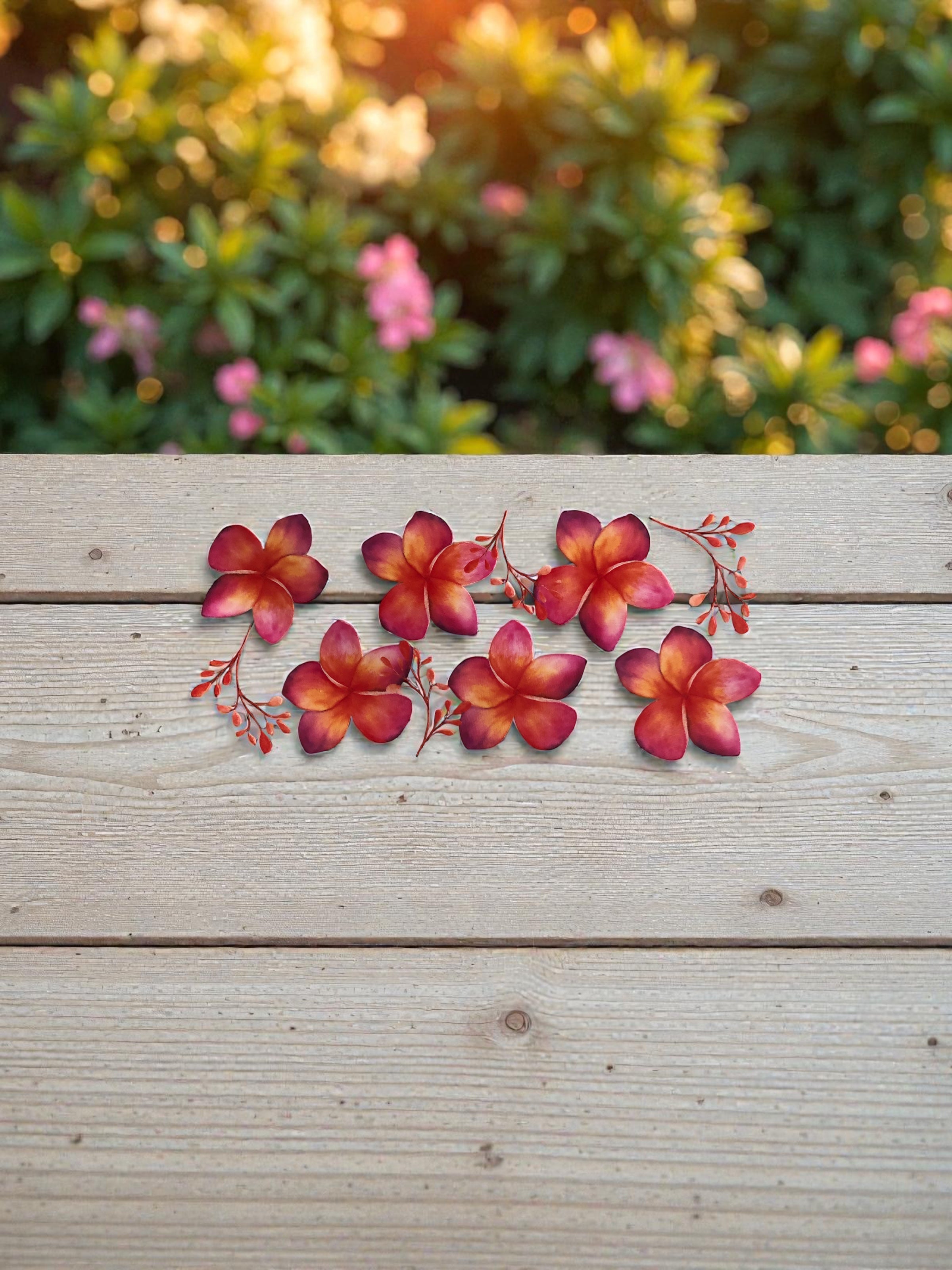22 - Plumeria Flowers